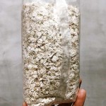 Ядки от елда /био, пресовани/ 'БИО КЛАСА', 300 г Ядки от елда /био, пресовани/ 'БИО КЛАСА', 300 г